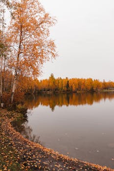 Qué información revisar en tu estado de cuenta mensual para controlar tus finanzas